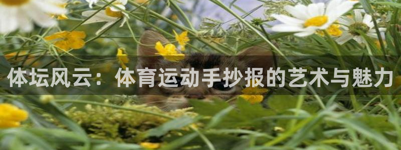 注册3377体育官方正版app:体坛风云:体育运动手抄报的艺